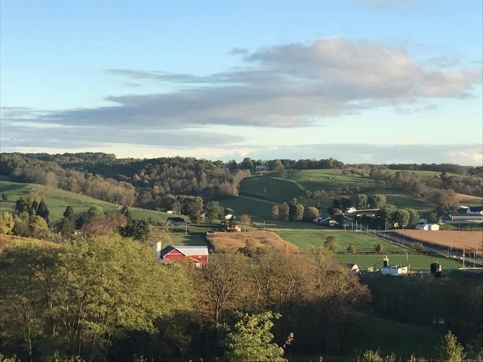 Carlisle Inn والنوت كريك المظهر الخارجي الصورة
