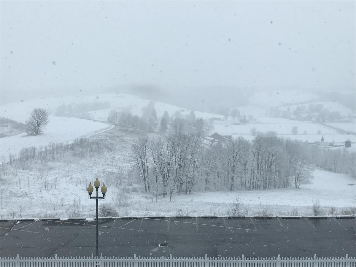 Carlisle Inn والنوت كريك المظهر الخارجي الصورة